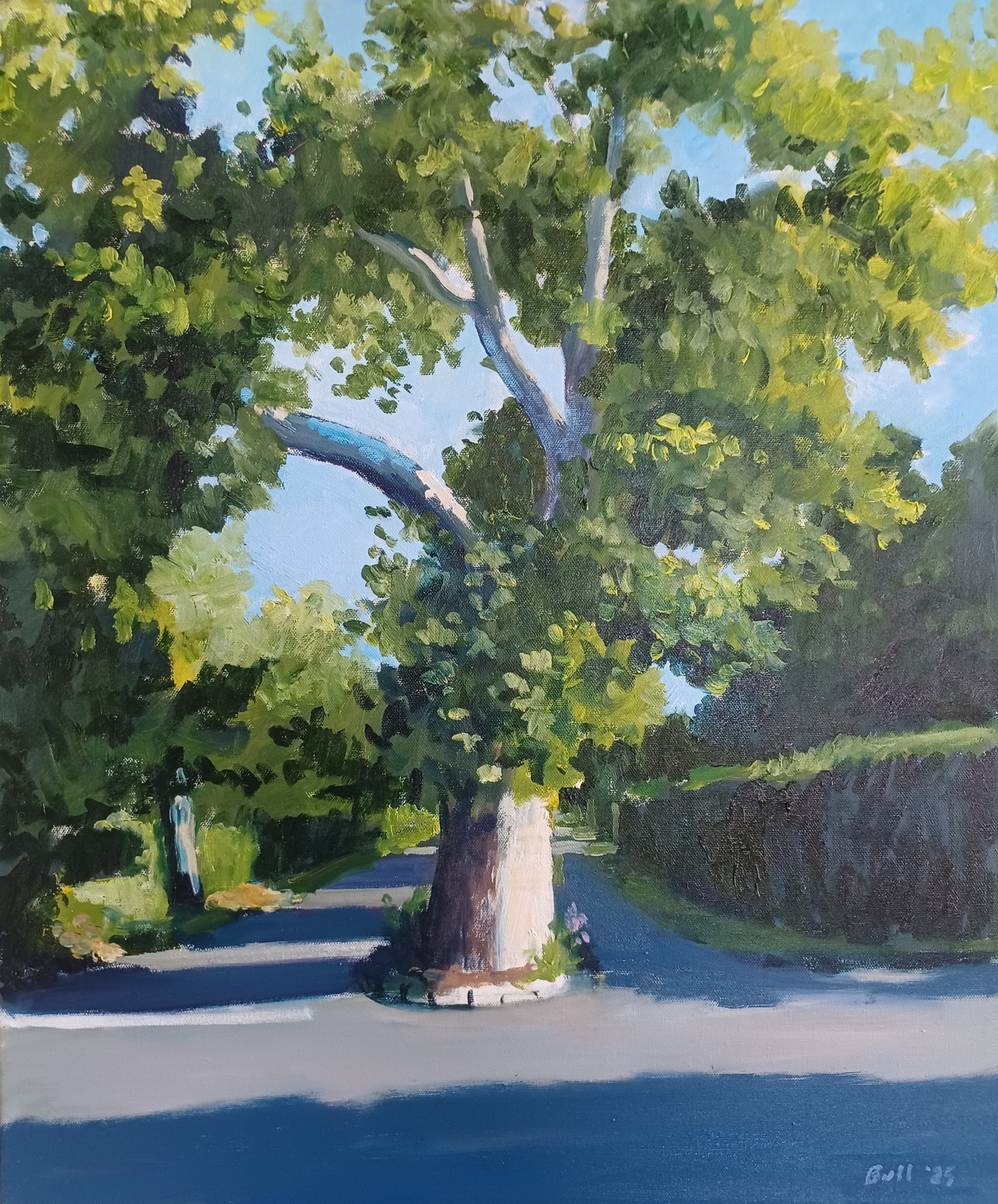 Painting of a Tree in the middle of a two lane spilt road