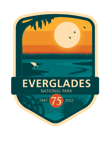 Everglades 101