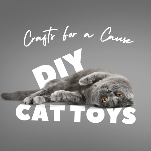 Gray cat playfully lies upside down on a gray background. Text reads "Crafts for a Cause DIY Cat Toys" in bold white letters.