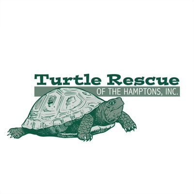 turtle rescue