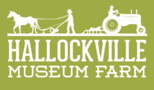 Hallockville 