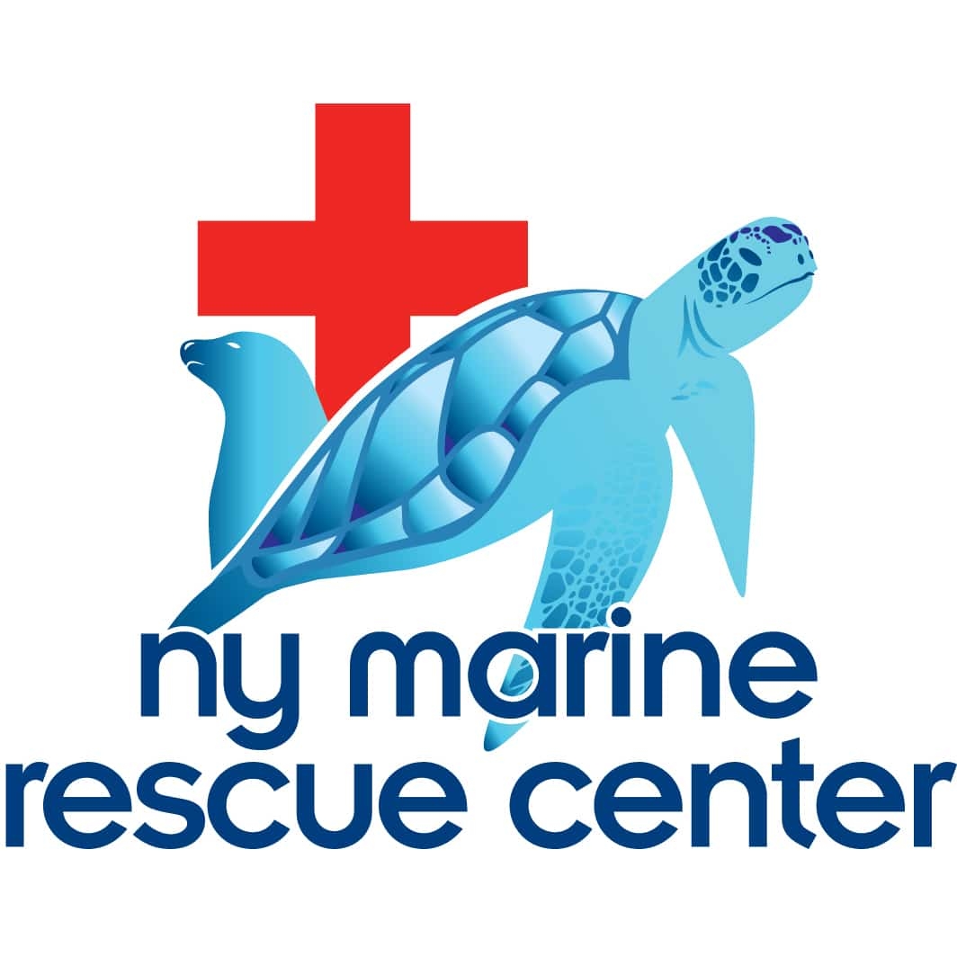 marine rescue